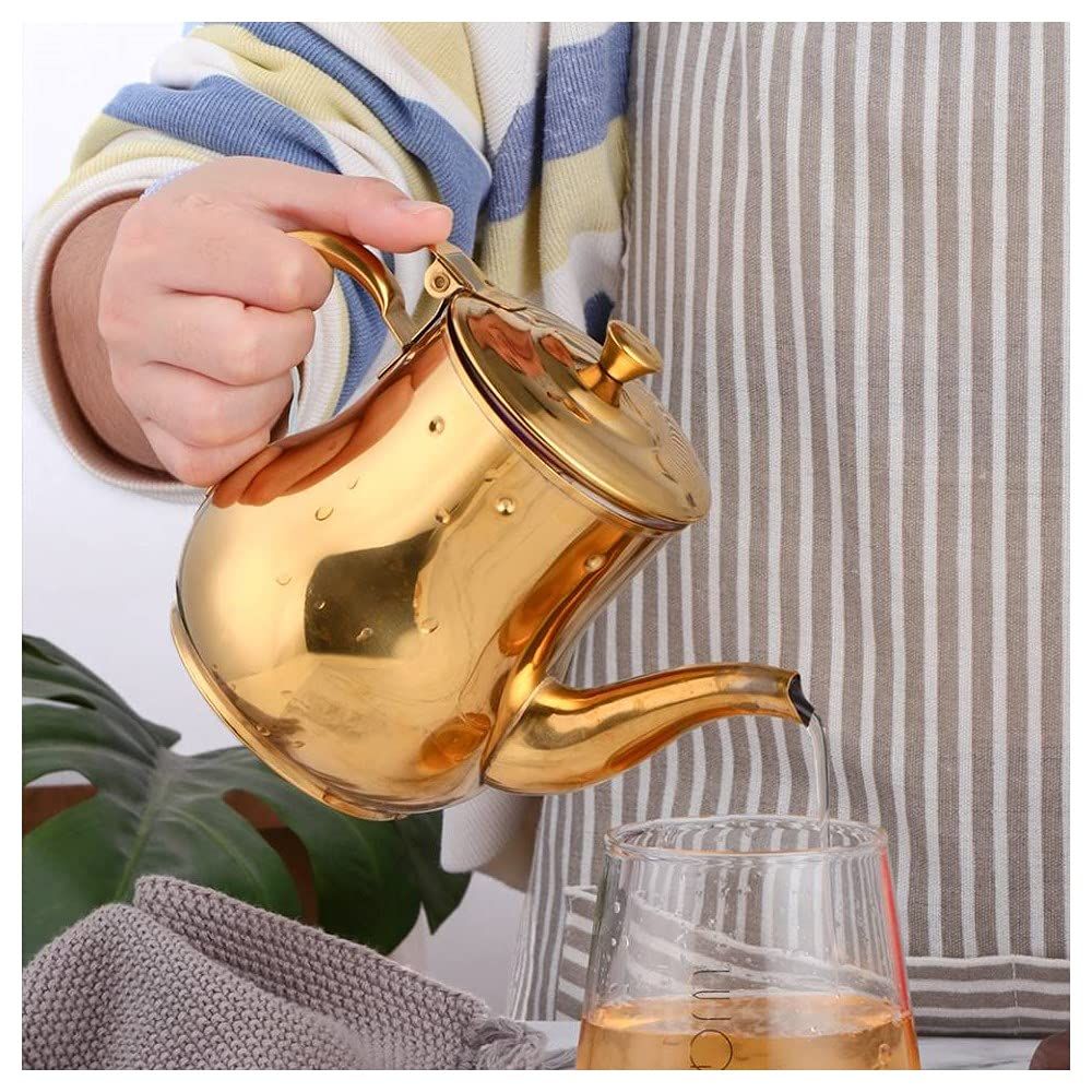 Stainless Steel Gooseneck Teapot Color Me Metal Gooseneck Tea Pot with Filter view 2