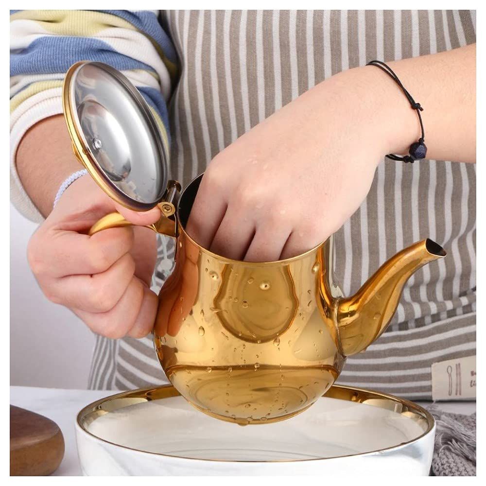Stainless Steel Gooseneck Teapot Color Me Metal Gooseneck Tea Pot with Filter view 3