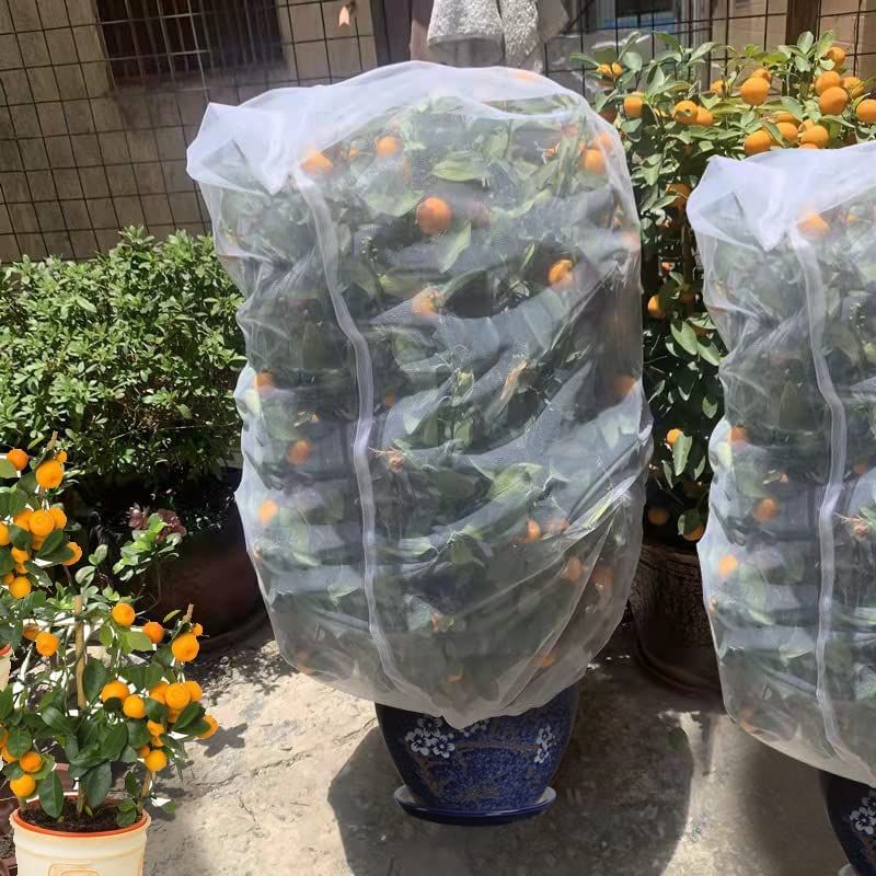 3pc Fruit Tree Netting Protection Bag with Drawstring view 3