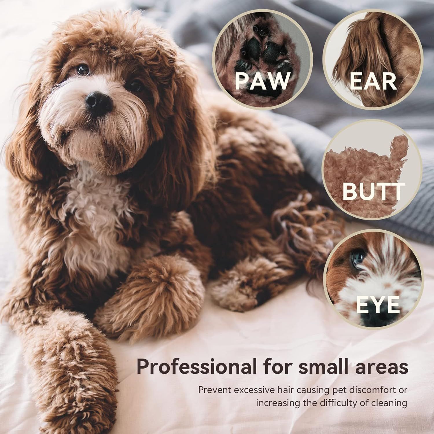Dog Clippers Professional Pet Trimmer LED Light Pet Health Care Clipper Dog view 5