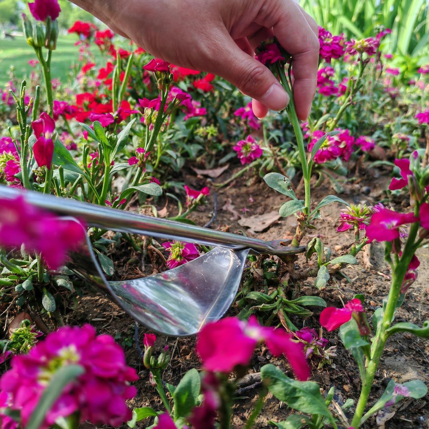 Weeder Puller Tool, Hand Weeder Tool, Manual Weed Forks, Multi Function Garden view 5