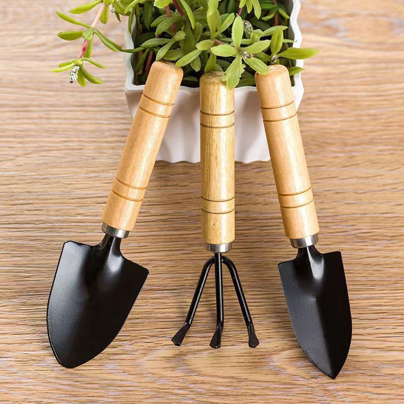 Garden Tool Set 3 Pcs Gardening Succulent Kit Wooden Handles for Small Hand view 2