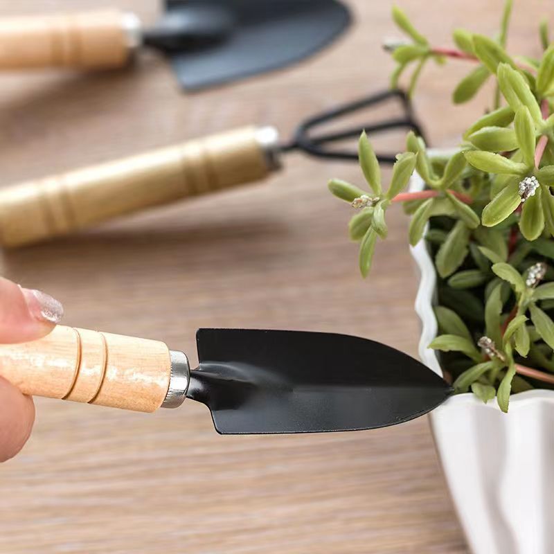Garden Tool Set 3 Pcs Gardening Succulent Kit Wooden Handles for Small Hand view 3
