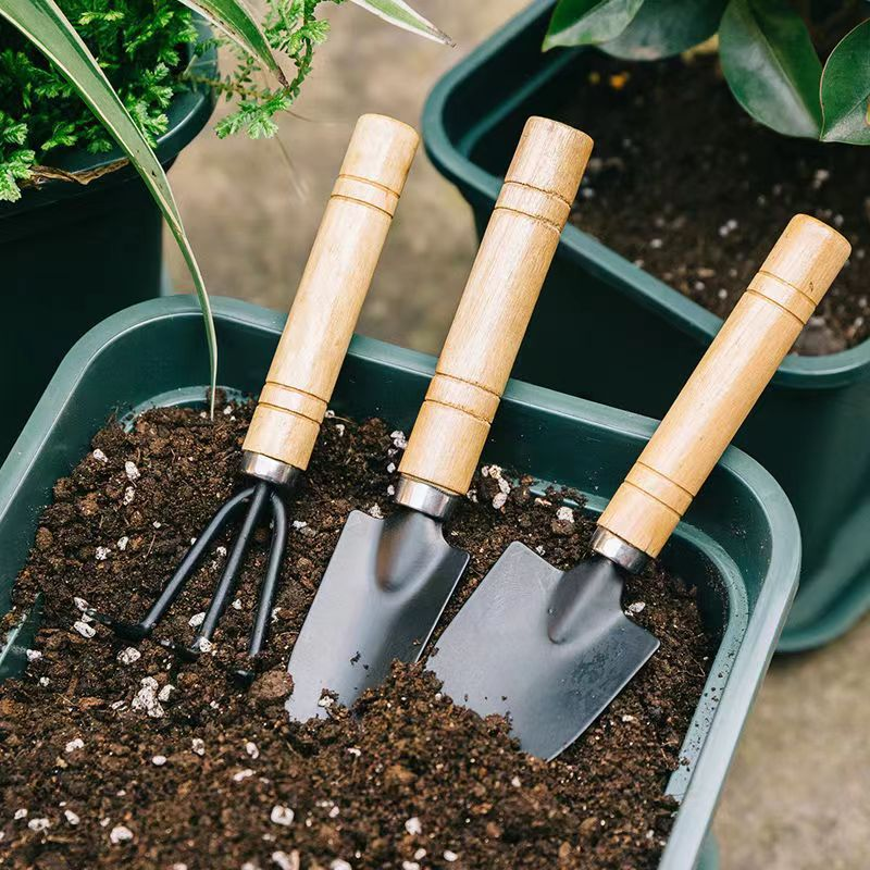 Garden Tool Set 3 Pcs Gardening Succulent Kit Wooden Handles for Small Hand view 5