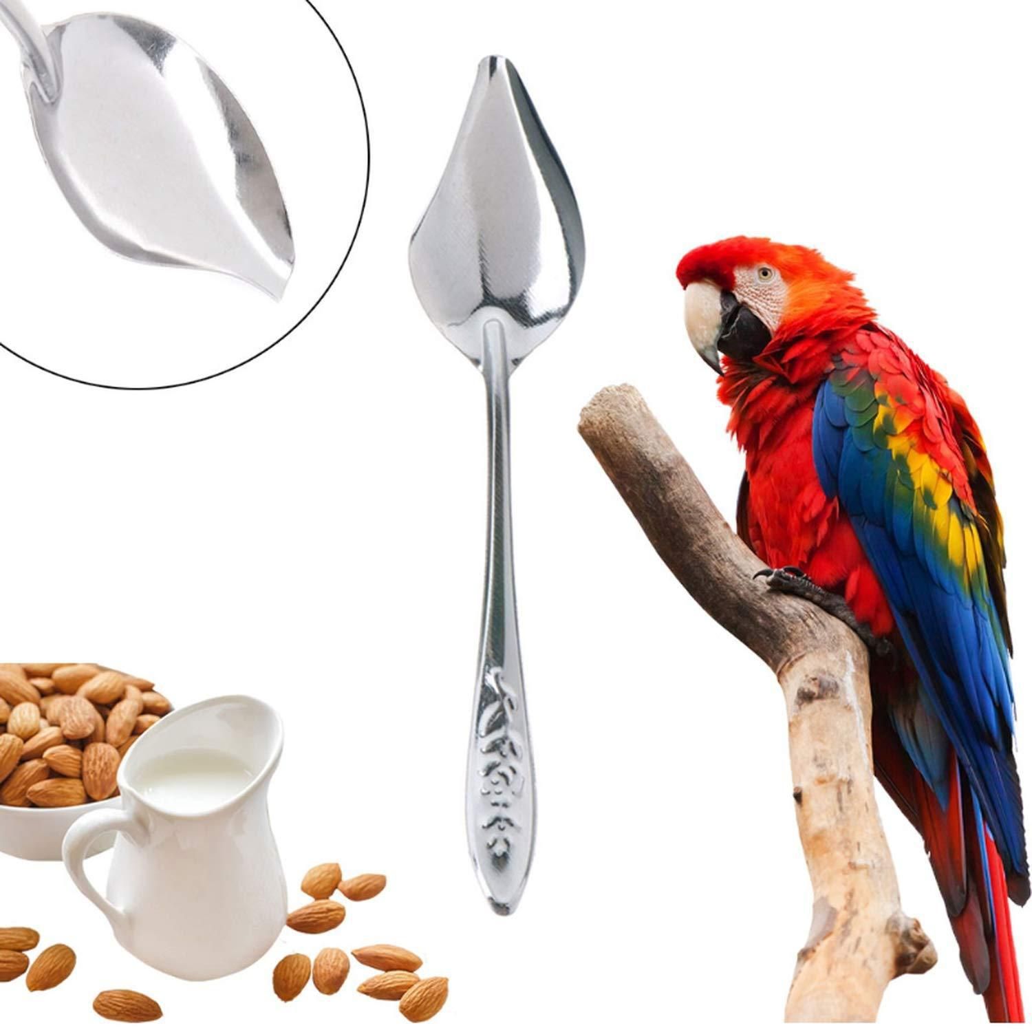 Bird Feeder Spoons Stainless Steel Milk Medicine Parrot Feeding Scoops Hand — image 1