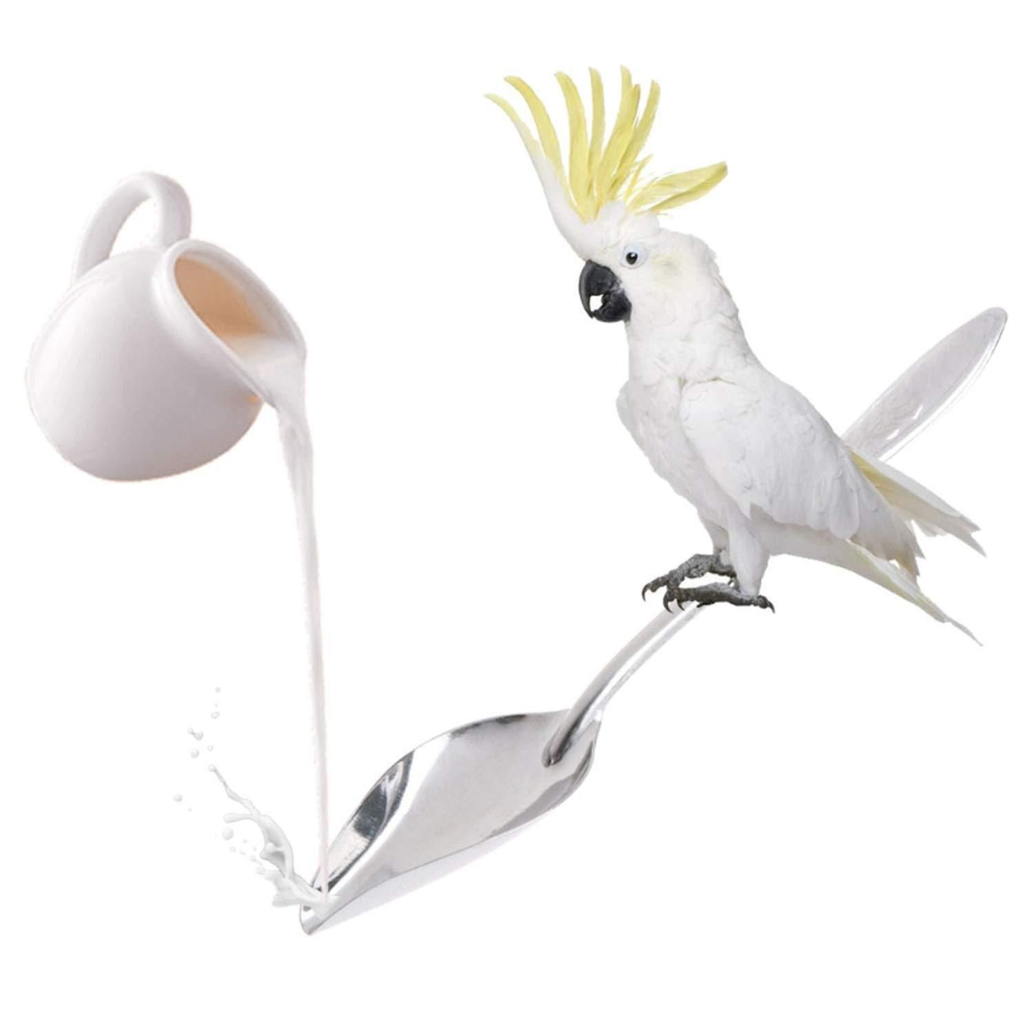 Bird Feeder Spoons Stainless Steel Milk Medicine Parrot Feeding Scoops Hand view 2