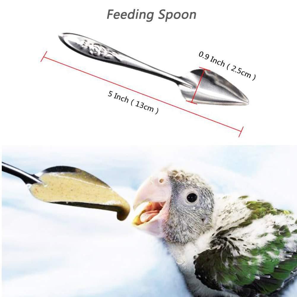Bird Feeder Spoons Stainless Steel Milk Medicine Parrot Feeding Scoops Hand view 5