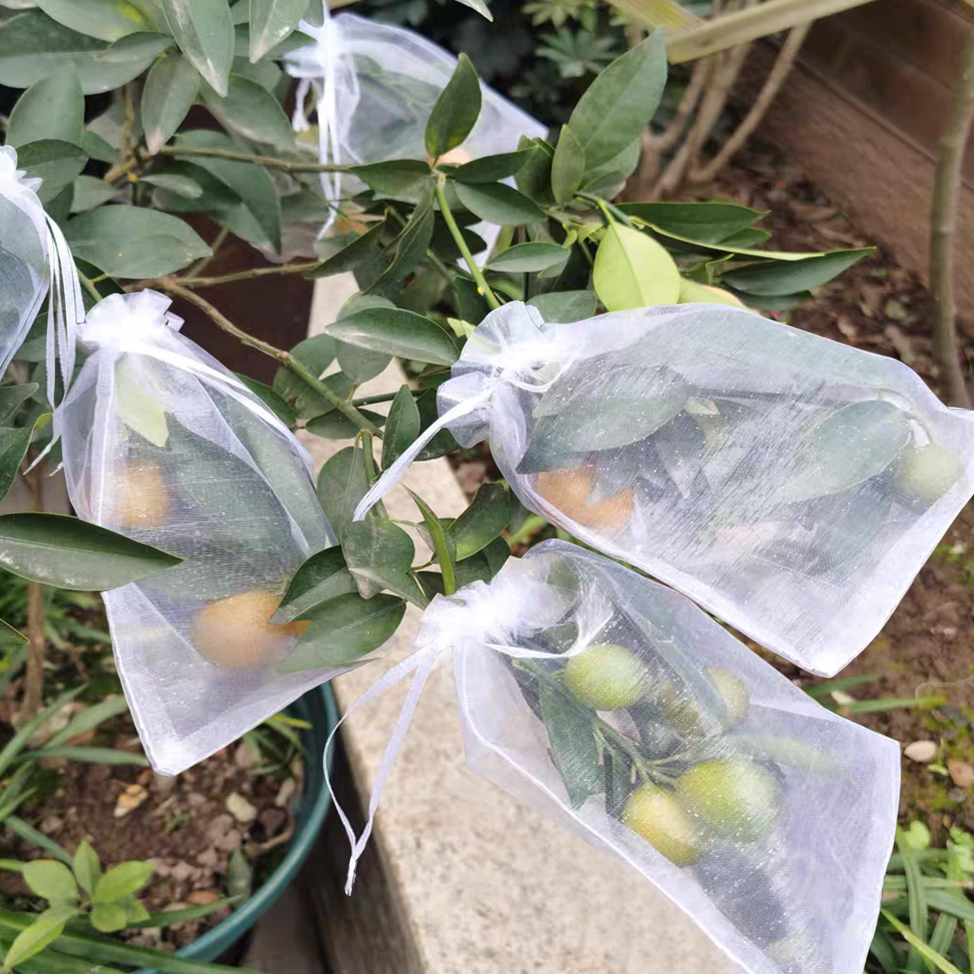 100 Pcs Fruit Protection Bags Protection Netting Bags for Fruit Trees Reusable view 3