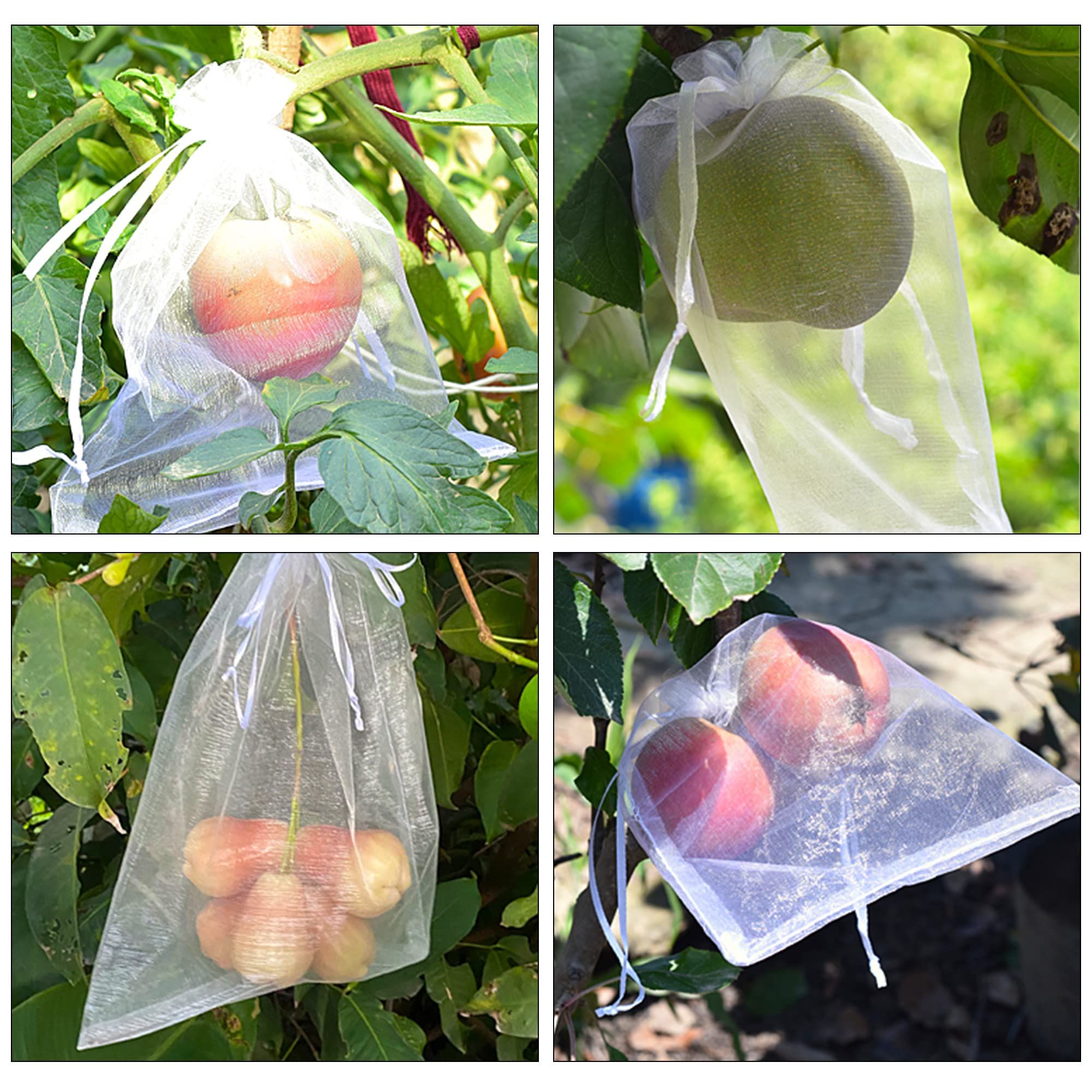 100 Pcs Fruit Protection Bags Protection Netting Bags for Fruit Trees Reusable view 5