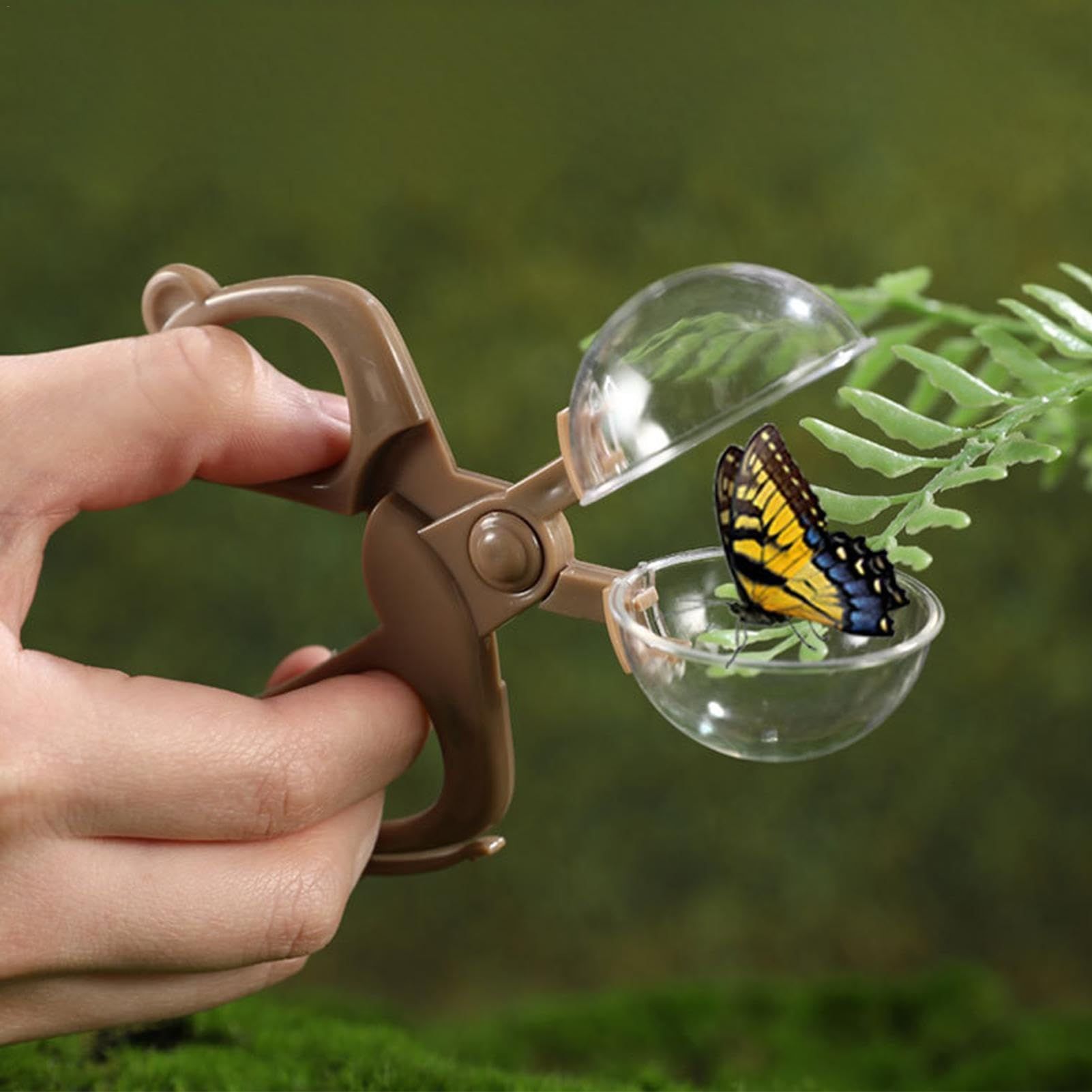 Butterfly Cage, Container Kids, Observation Kit, Nature Observation Kit view 2