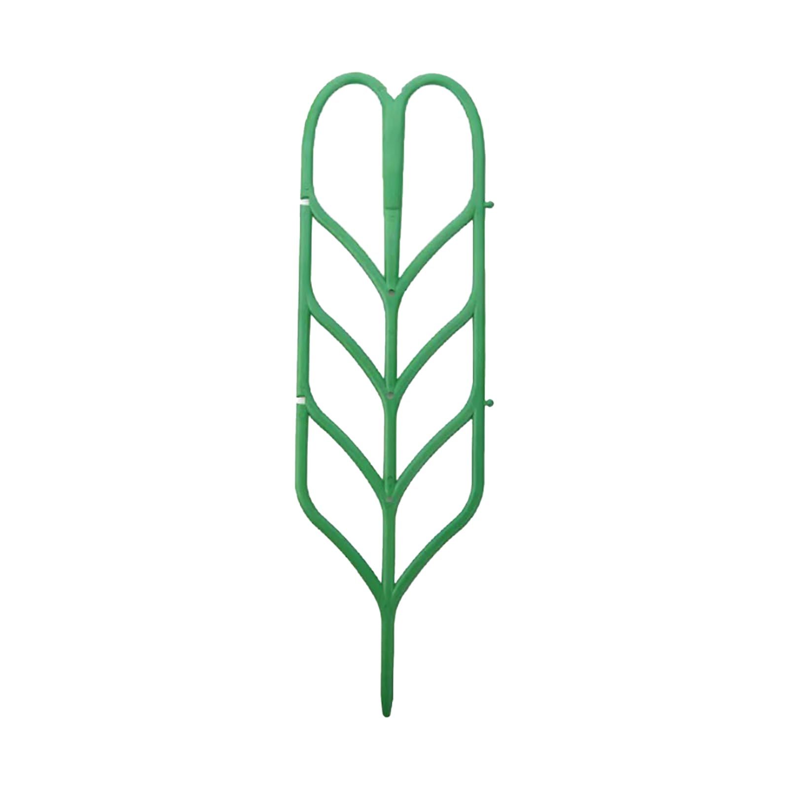 Indoor Plant Trellis for Potted Plants