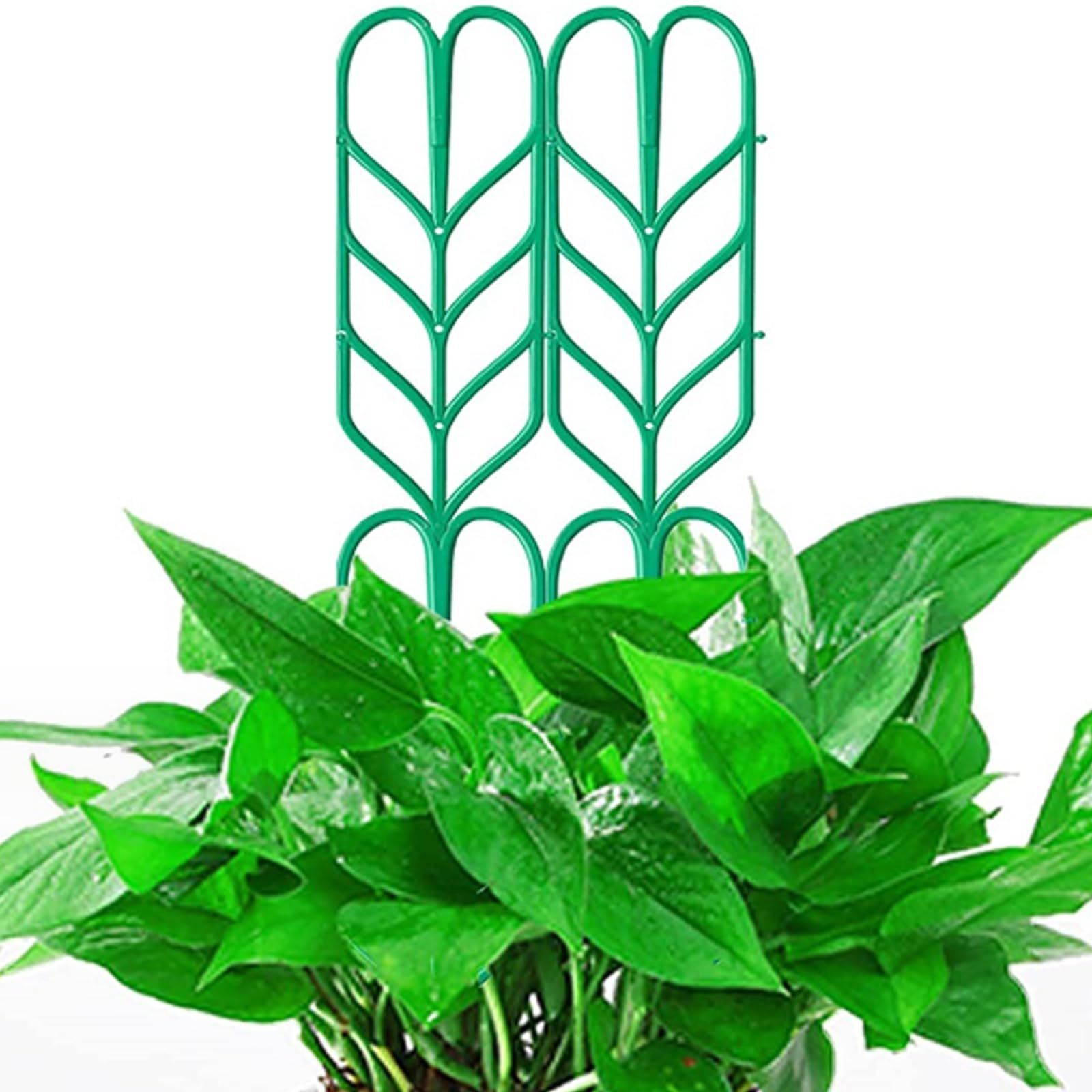 Indoor Plant Trellis for Potted Plants view 4
