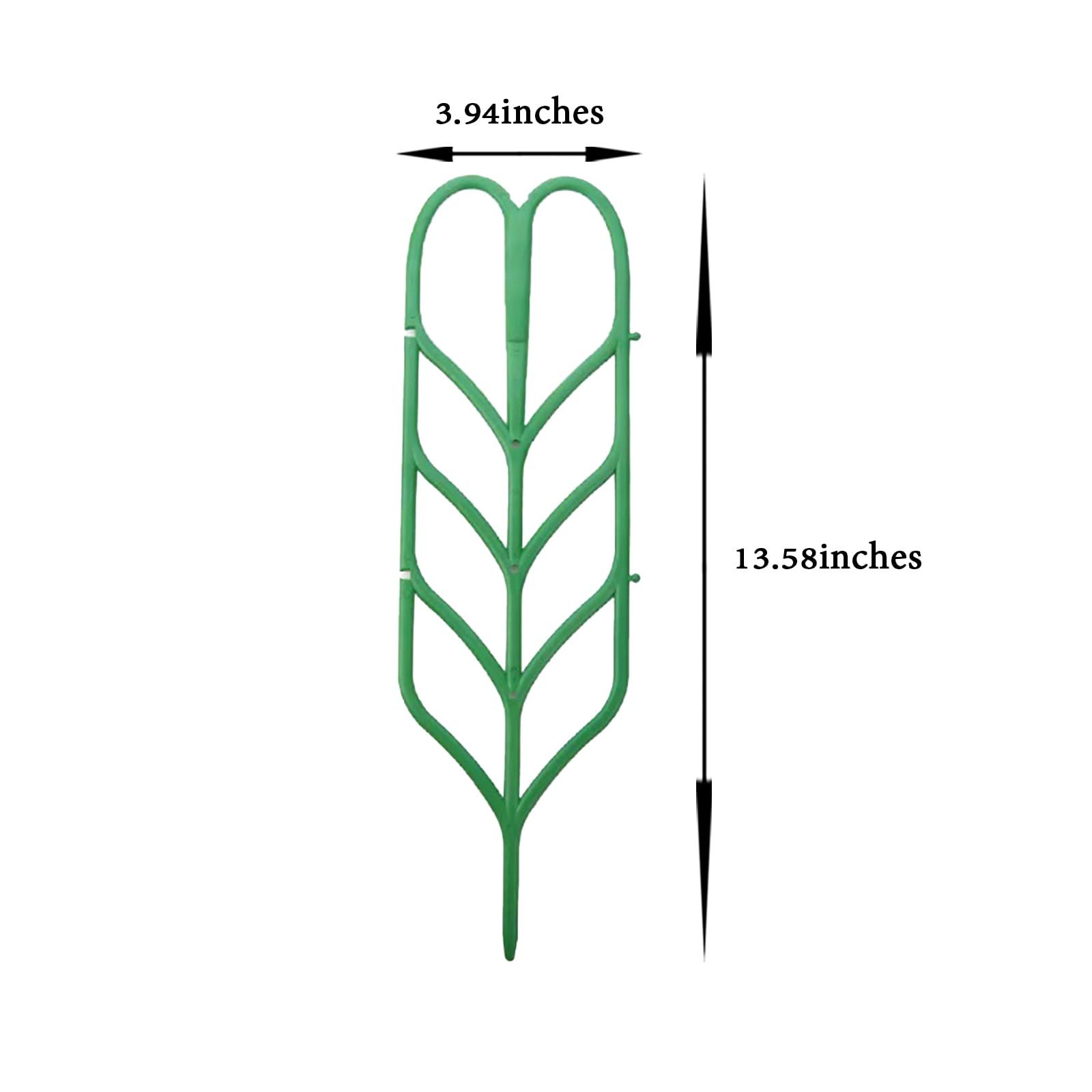 Indoor Plant Trellis for Potted Plants view 5