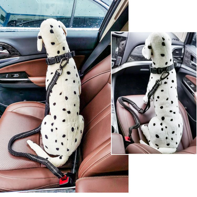 Reflective Dog Leash for Medium view 4