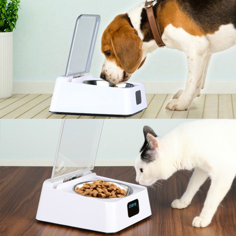 Automatic Pet Feeder, Cat Food Dispenser with Infrared Sensor and Removable view 2