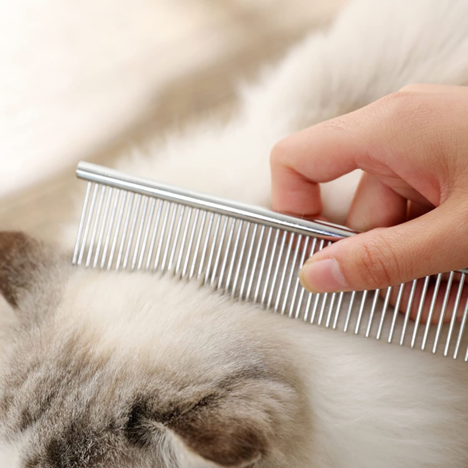 Stainless steel comb, pet comb, beauty comb, dog brush, pet supplies, dog view 4