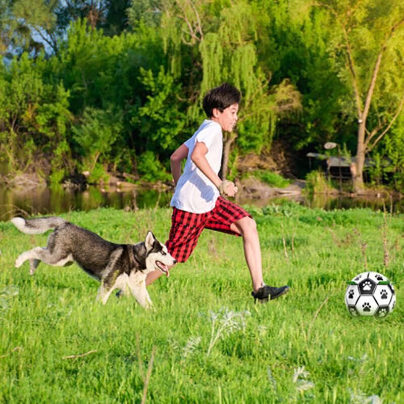 Interactive Pet Football Dog Toys Grab Tabs Outdoor Training Soccer Chew Balls view 4