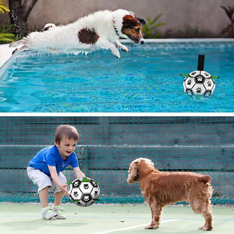 Interactive Pet Football Dog Toys Grab Tabs Outdoor Training Soccer Chew Balls view 7