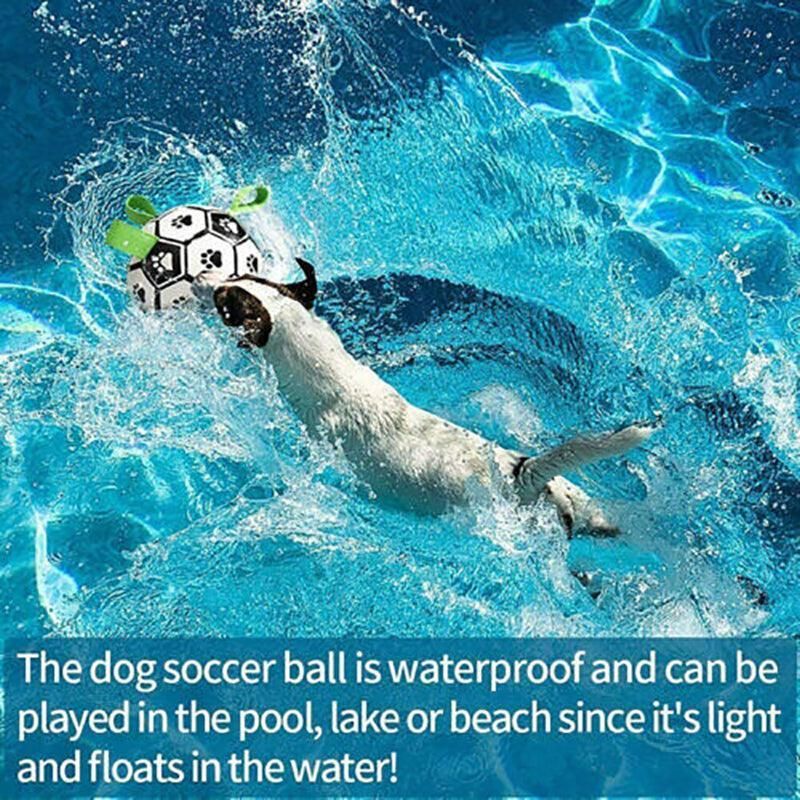 Interactive Pet Football Dog Toys Grab Tabs Outdoor Training Soccer Chew Balls view 9