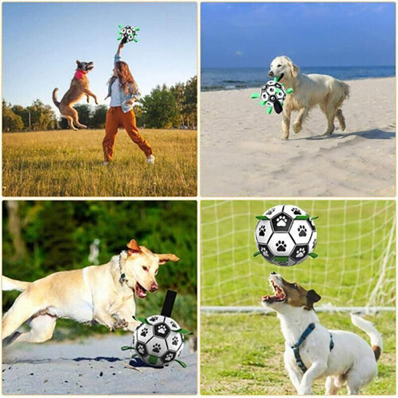 Interactive Pet Football Dog Toys Grab Tabs Outdoor Training Soccer Chew Balls view 12