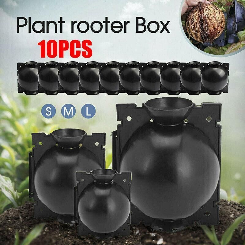 10Pcs Plant Rooting Ball High Pressure Propagation Box Grafting Breeding view 2