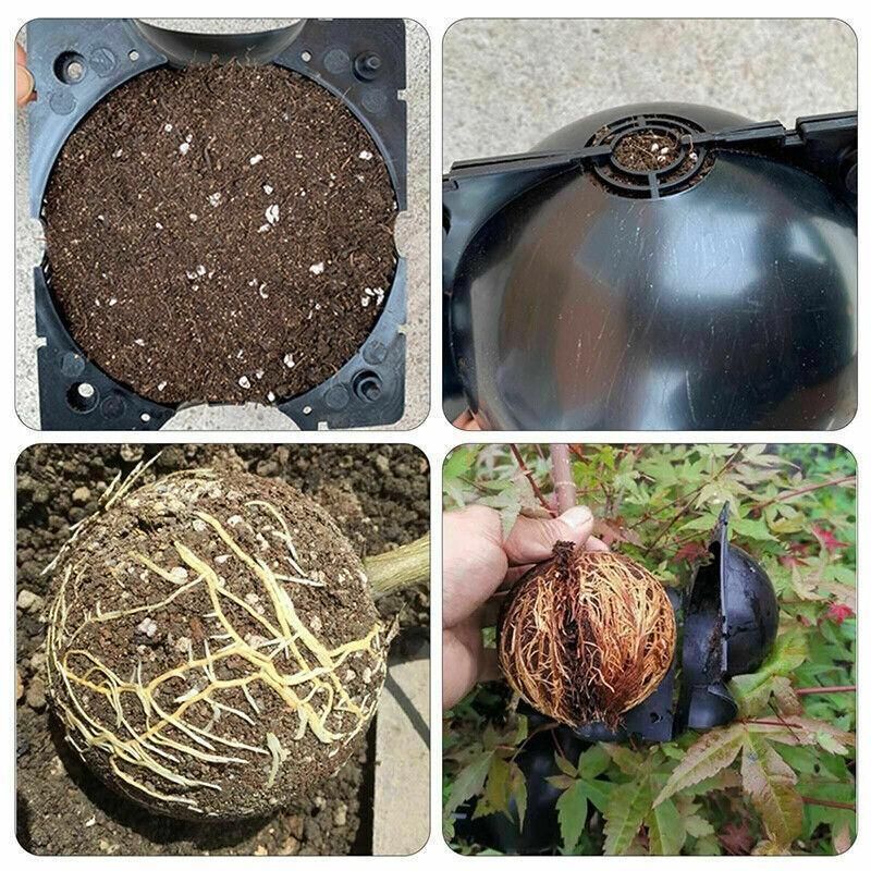10Pcs Plant Rooting Ball High Pressure Propagation Box Grafting Breeding view 5