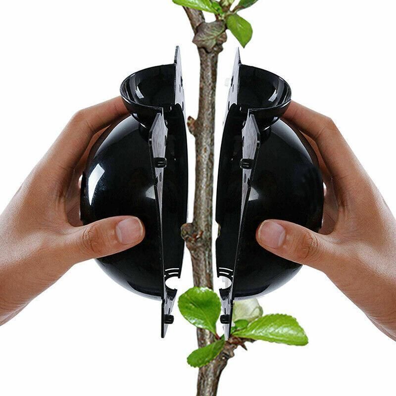 10Pcs Plant Rooting Ball High Pressure Propagation Box Grafting Breeding view 10
