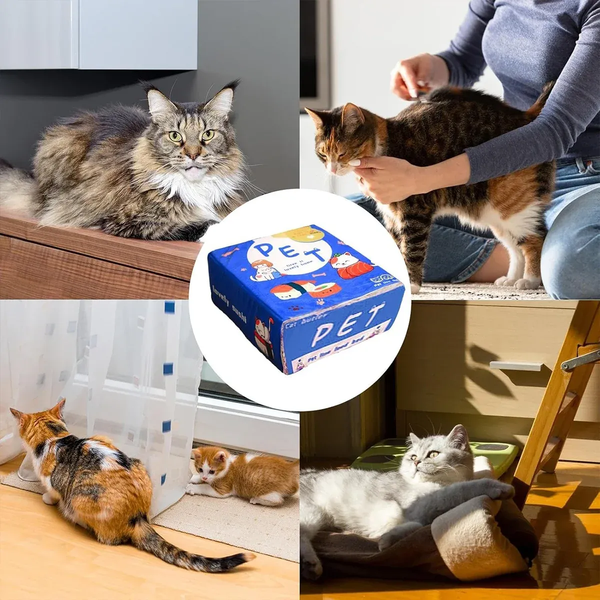 Rectangular Cookie Box Pet Bed for Cats Dogs Cat Bed Kitten Puppy Soft Pet view 9