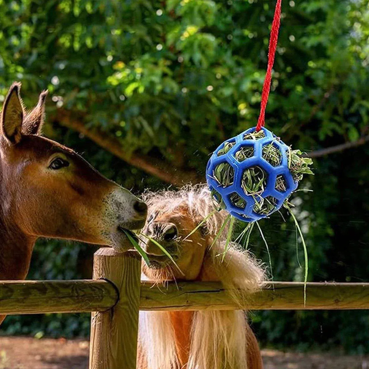 Hanging Hay Feeders Stable Feed Polo Feeding Balls Toy for Horses and view 6