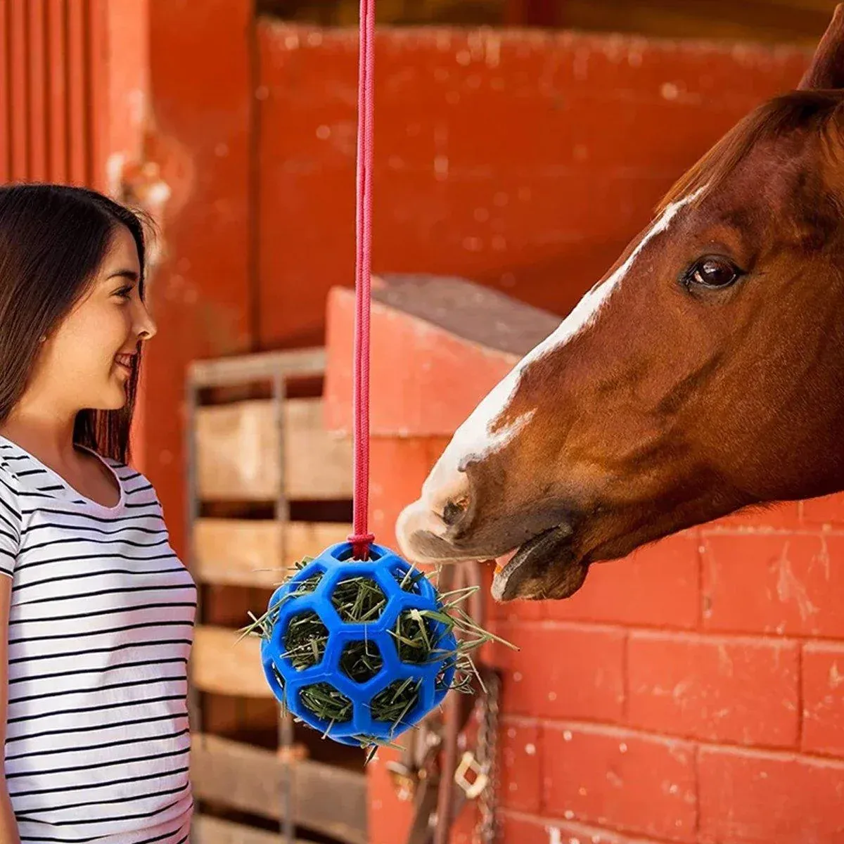 Hanging Hay Feeders Stable Feed Polo Feeding Balls Toy for Horses and view 7