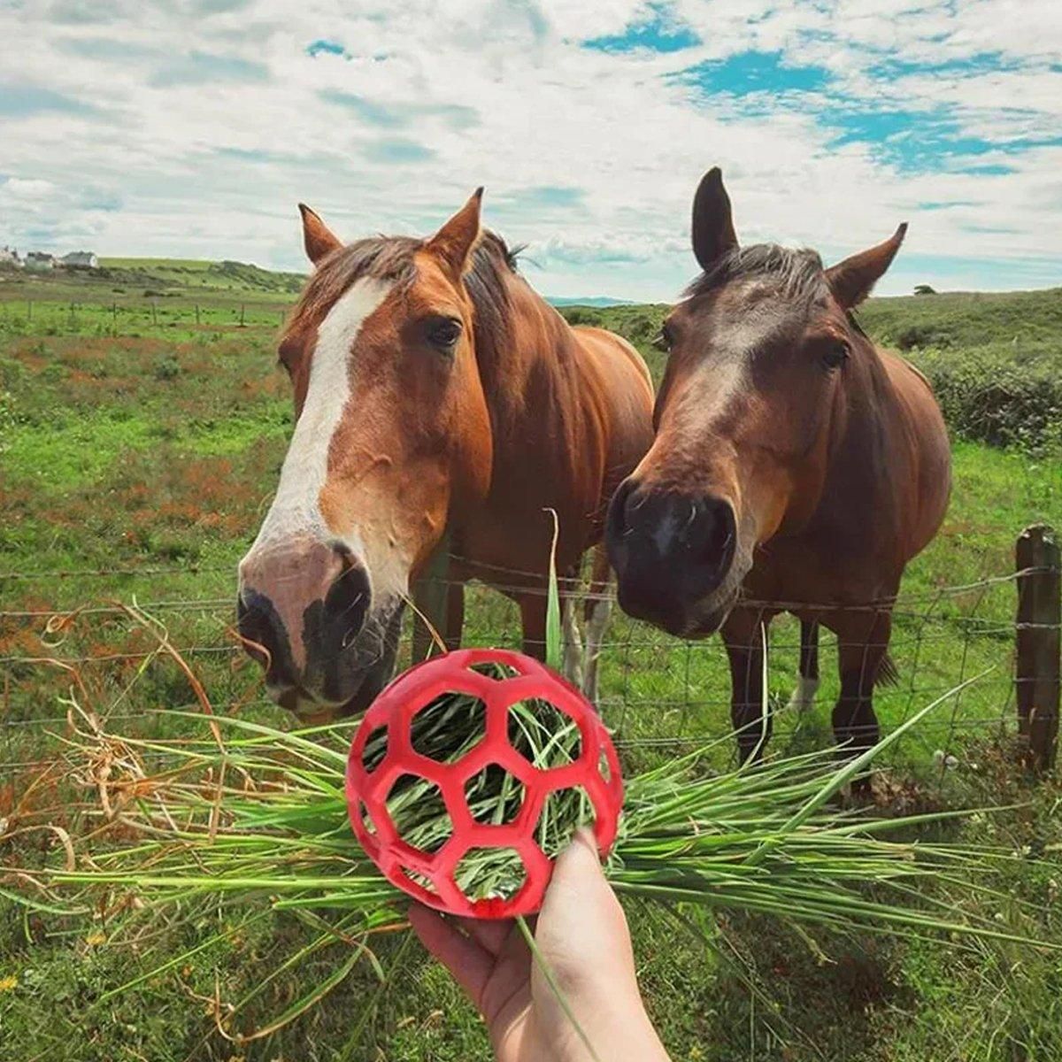 Hanging Hay Feeders Stable Feed Polo Feeding Balls Toy for Horses and view 9