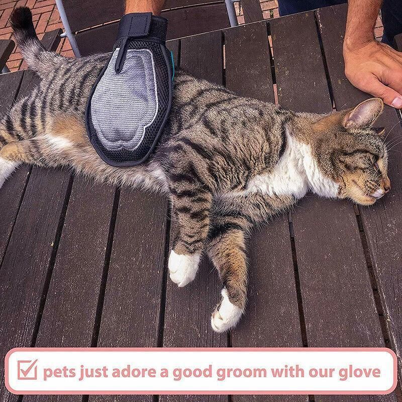 2 in 1 Pet Grooming Glove Deshedding Mitt for Cats and Dogs Hair Removal view 4