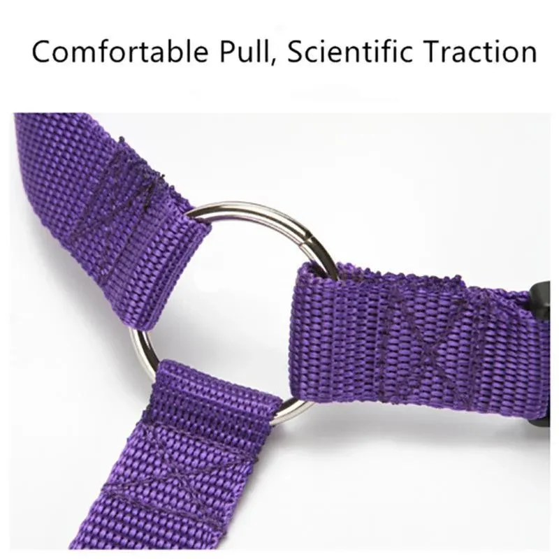 Adjustable Pet Dog Car Clip Lead Harness Strap for Vehicle Travel Restraint view 11