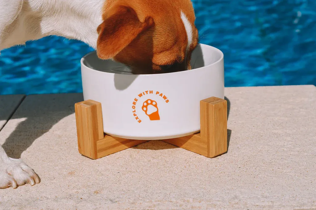 Pet Ceramic Bowl with Wooden Stand view 2