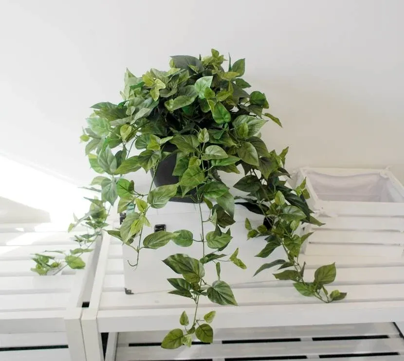 Artificial Ivy in Black Plastic Pot 76cm — image 1