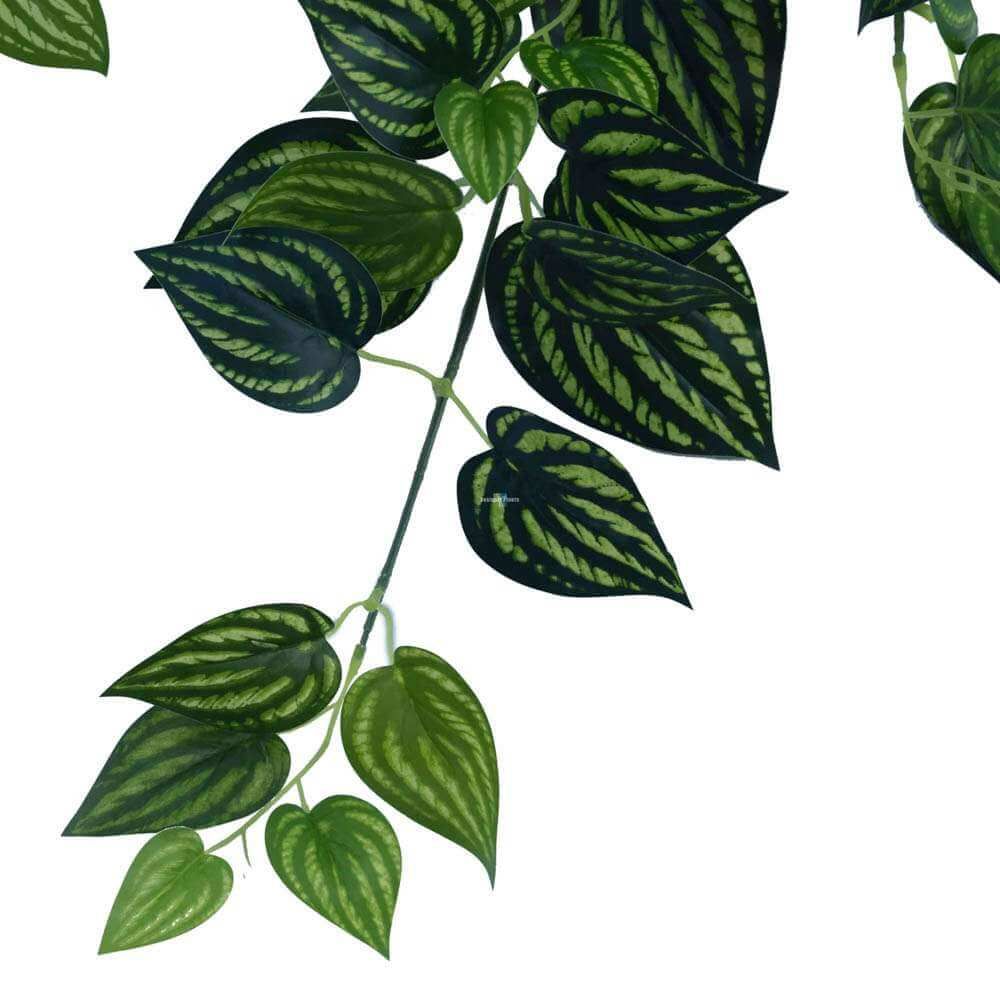 Bright Mixed Philodendron Garland Bush 100cm view 3