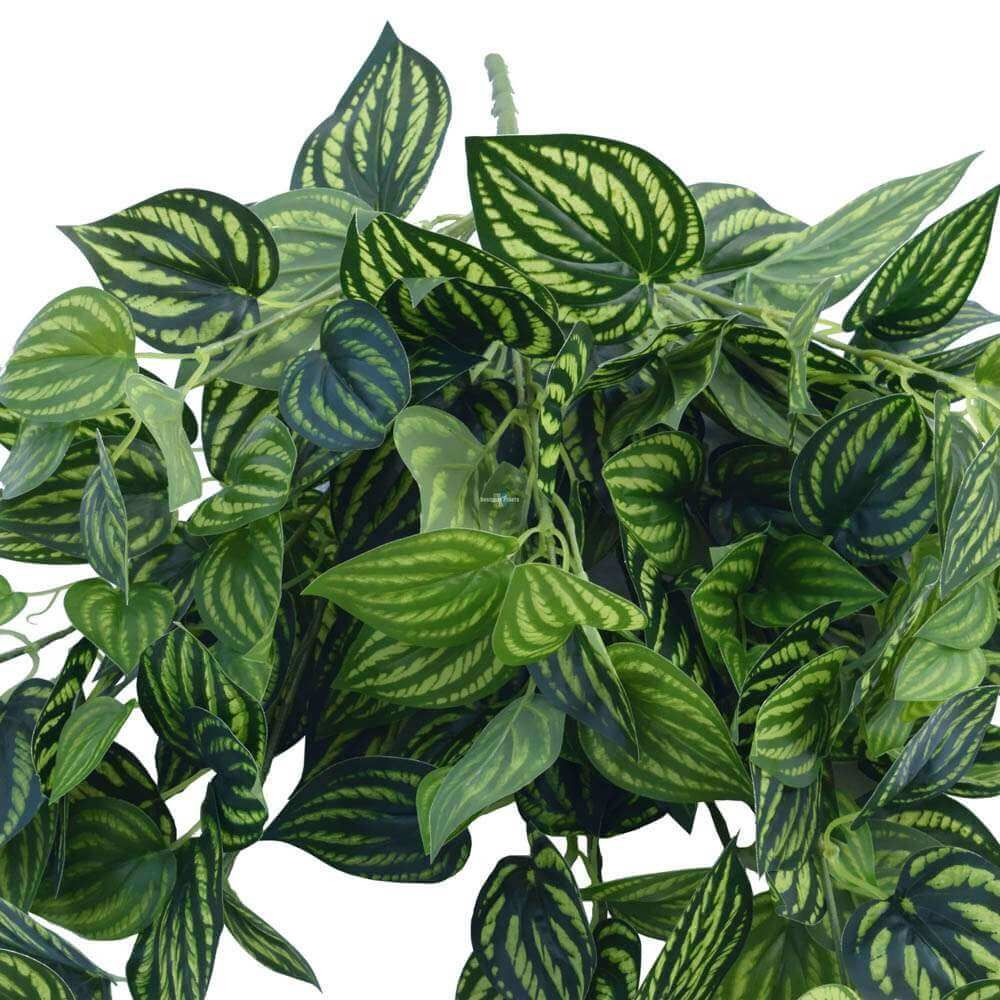Bright Mixed Philodendron Garland Bush 100cm view 4