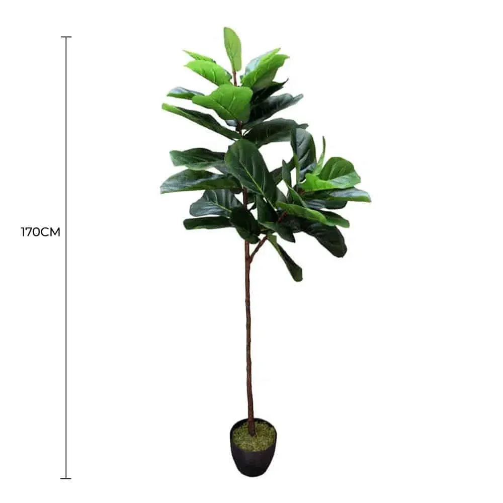 Tall Artificial Fiddle Leaf Fig 170cm view 2
