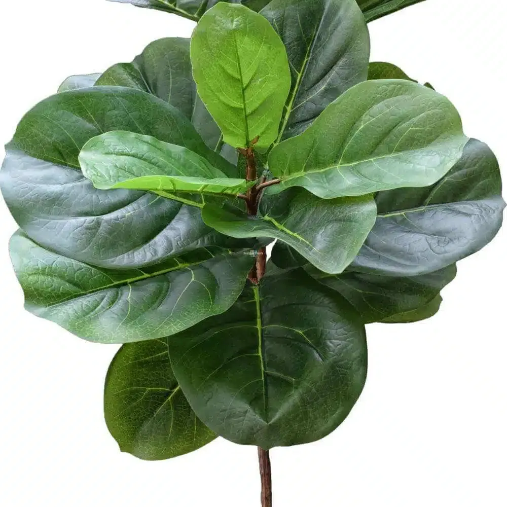 Tall Artificial Fiddle Leaf Fig 170cm view 3