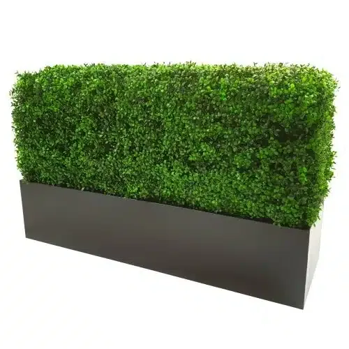 Luxury Deluxe Portable Buxus (Bright) UV Resistant 100cm Long x 50cm High x