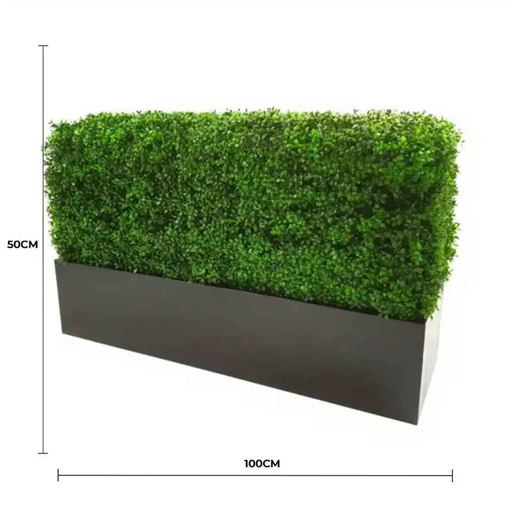 Luxury Deluxe Portable Buxus (Bright) UV Resistant 100cm Long x 50cm High x view 2