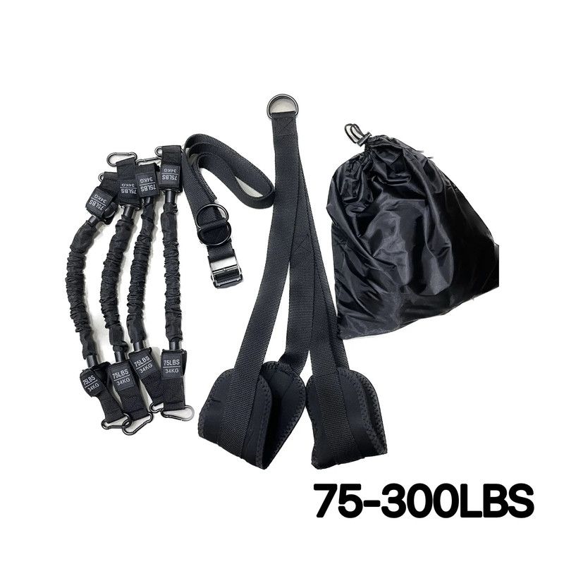 Pull-Up Assistance Bands Set 300LB Resistance Black view 2
