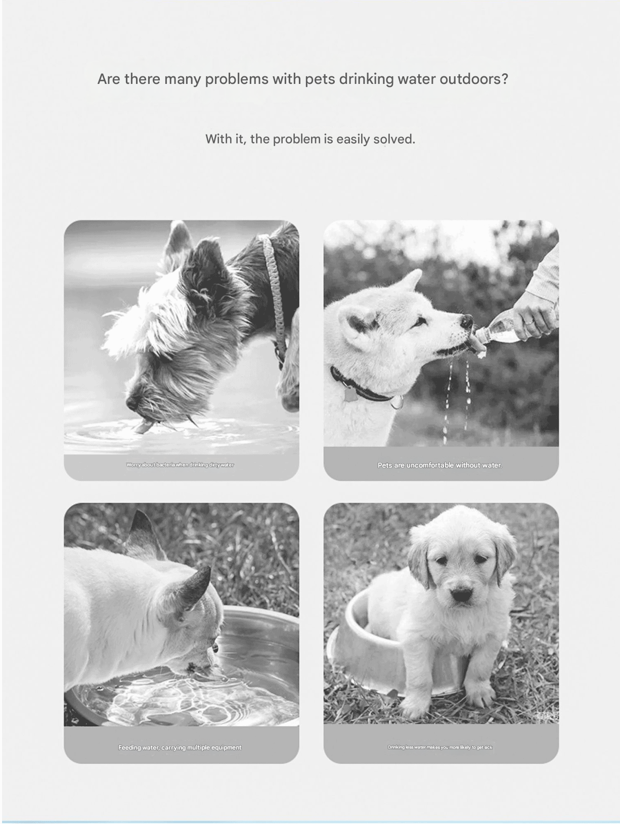 Yellow 650ml Portable Dog Water Bottle - Leak-Proof Pet Travel Water Dispenser view 3