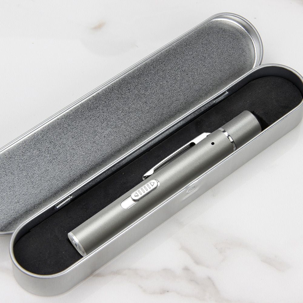 Grey Metal Laser Cat Toy Pen Set - 2 Piece USB Rechargeable 3-in-1 Laser