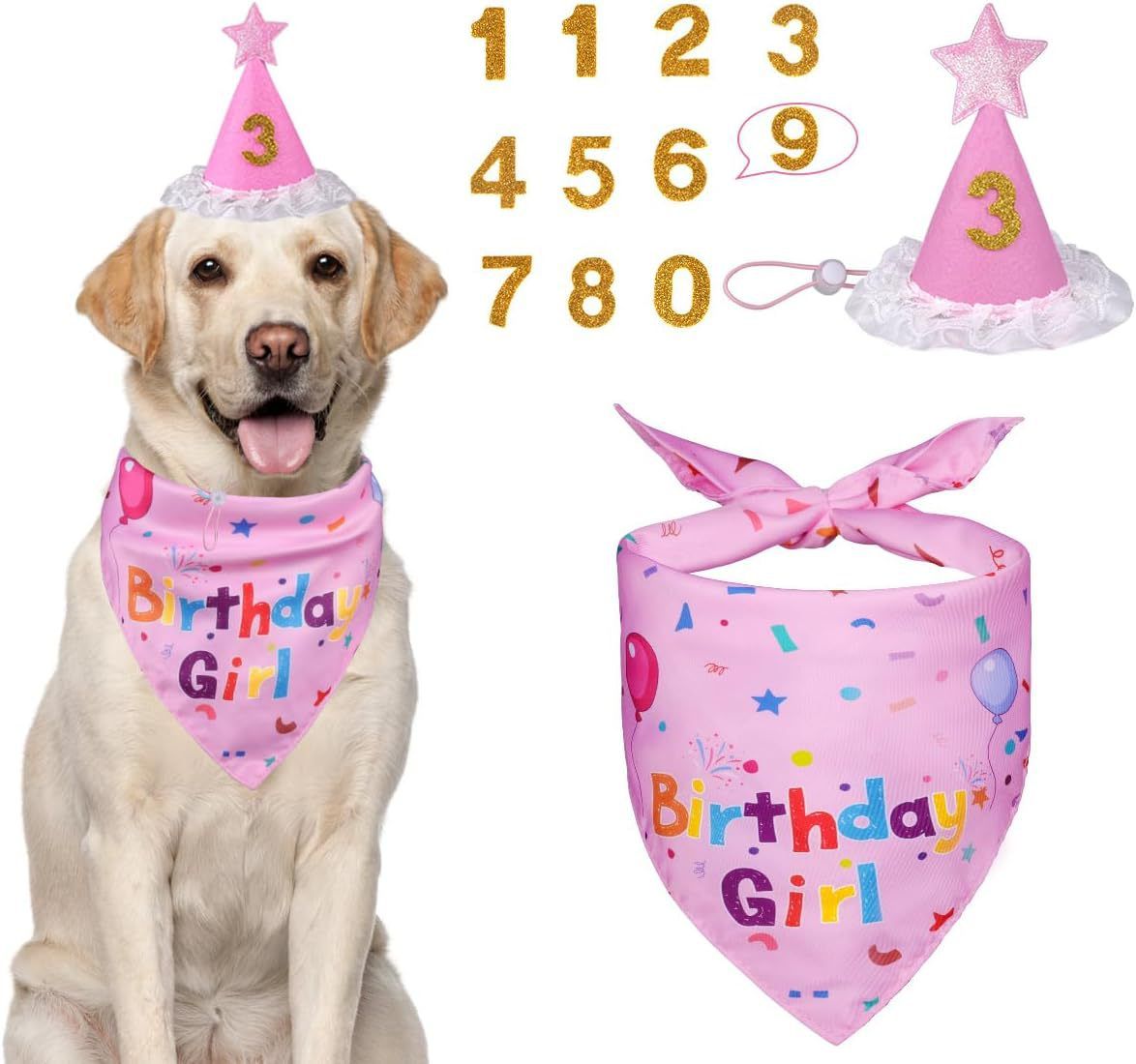 Pink Pet Birthday Bandana and Hat Set - Soft Cotton — image 1
