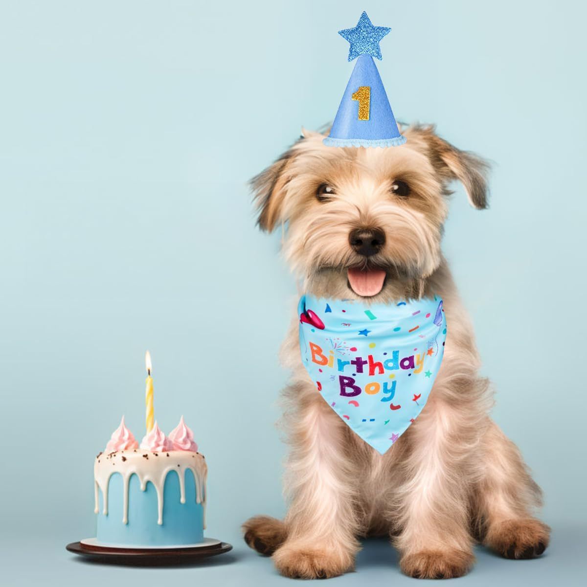 Pink Pet Birthday Bandana and Hat Set - Soft Cotton view 6