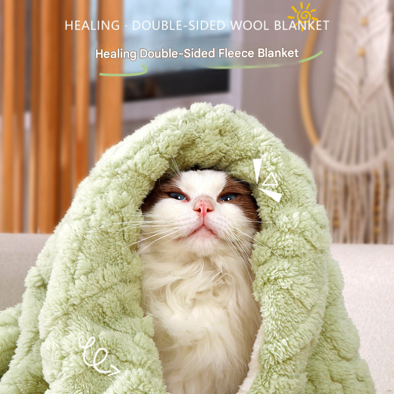 2-piece M size Green Pet Winter Comfort Bundle – 55*45cm Plush Pet Blanket and view 8