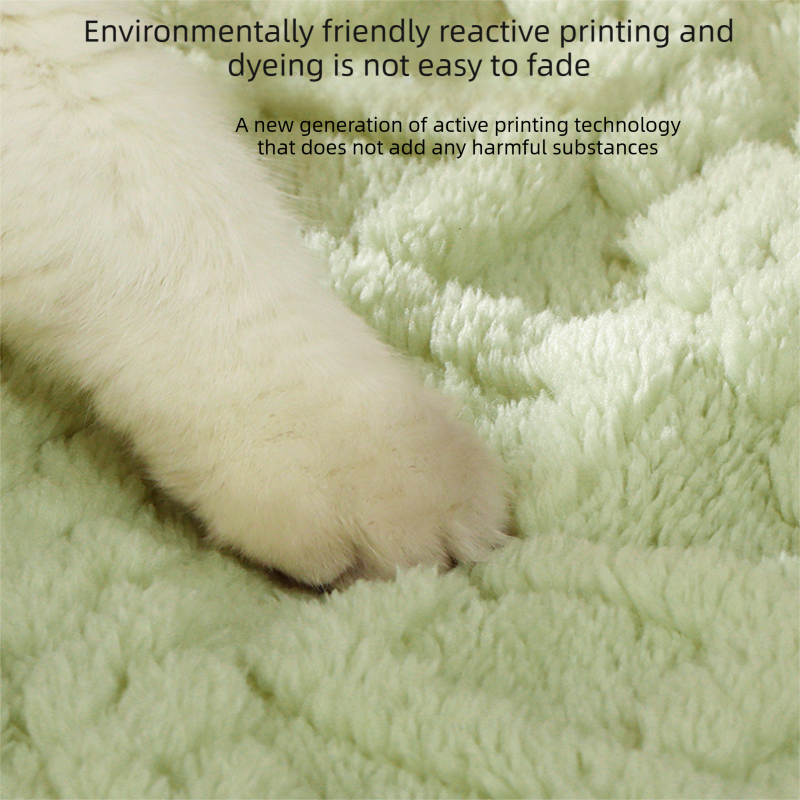 2-piece M size Green Pet Winter Comfort Bundle – 55*45cm Plush Pet Blanket and view 13