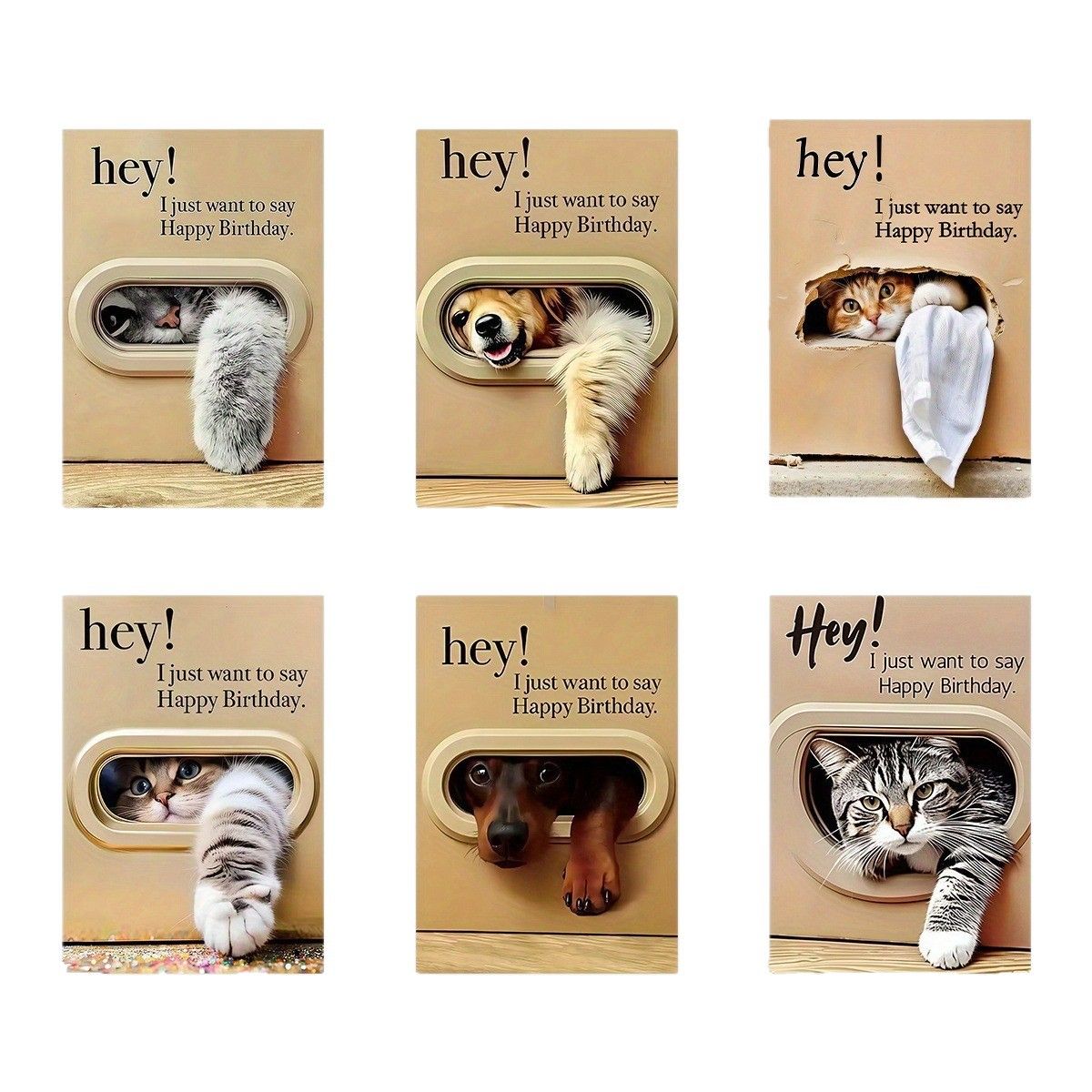 Cute Cat and Dog Birthday Card Set - 6 Assorted Greeting Cards with Envelopes view 4