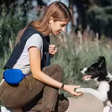 Pink Silicone Dog Training Treat Pouch with Adjustable Waist Belt Hands-Free view 2